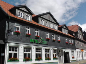Гостиница Hotel Die Tanne, Гослар